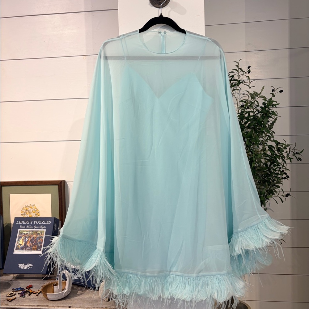 Mac Duggal Mint Green Trapeze Dress Feather Trim Cape in Light Aqua